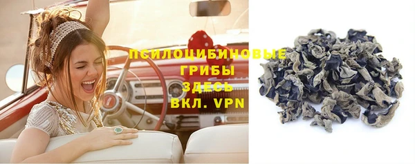 прущий лед Дмитровск