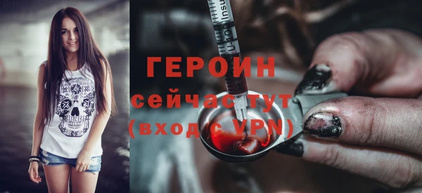 мдпв Дмитриев