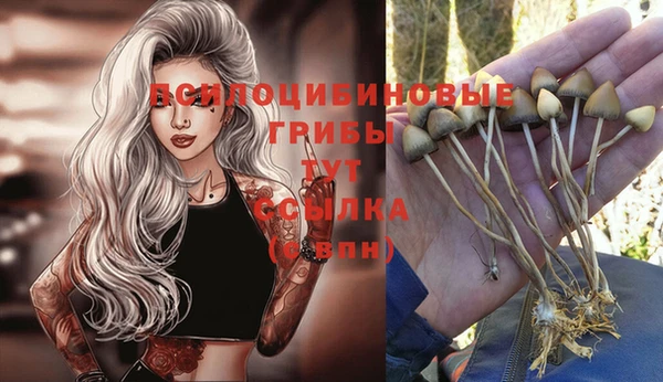 мдпв Дмитриев