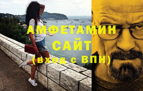 мдпв Дмитриев