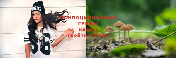 мдпв Дмитриев