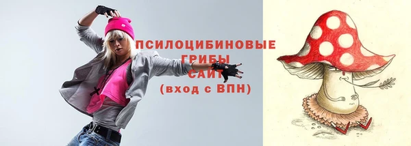 прущий лед Дмитровск