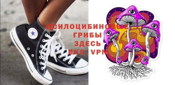 мдпв Дмитриев
