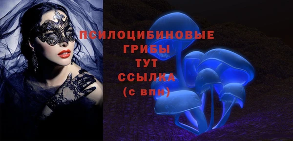 мдпв Дмитриев