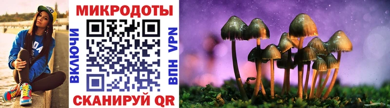 Галлюциногенные грибы GOLDEN TEACHER  Кандалакша 